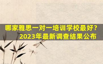 哪家雅思一对一培训学校最好？ 2023年最新调查结果公布